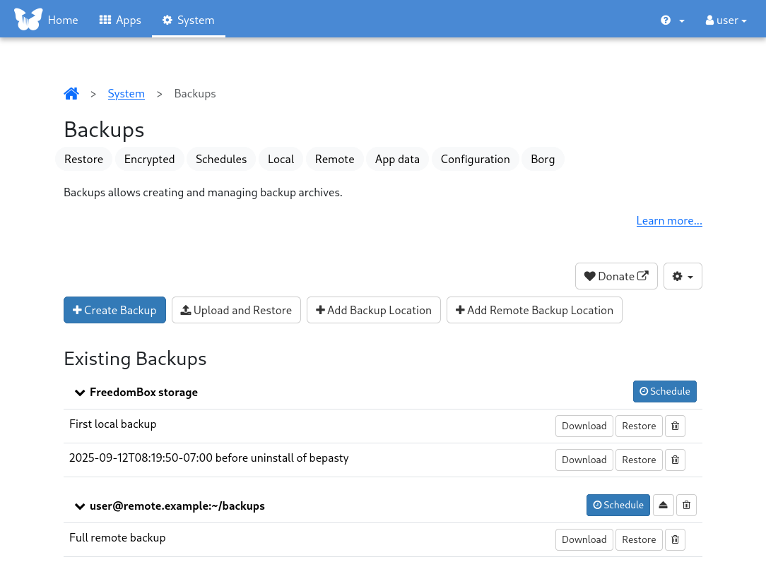 Screenshot of FreedomBox interface using a local repository and a remote repository with some backup archives.